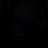 nvp