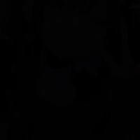 nvp
