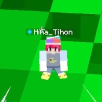 ¤▪︎Hiha tí hon▪︎¤