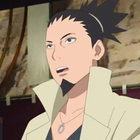 NARA SHIKAMARU