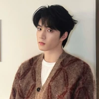 Lưu Diệu Văn_papa của hắn, h²,cậu và y