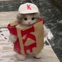 cô bé Dưa Lưới🍈