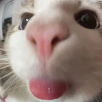 Tina đeyyyy