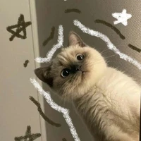@meowww