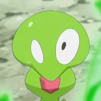 Bé Puni (Zygarde)
