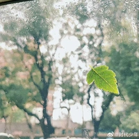 Bọn hắn 