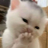 zyy