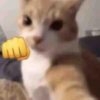 Cân mọi nhân vật:)