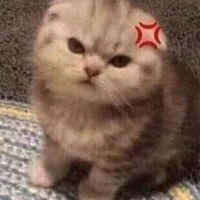 girl độc thân ♡