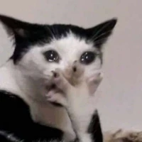 T/G KHÔNG HỀ LƯỜI