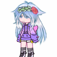 (y/n)