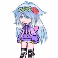  (y/n)