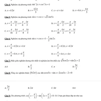 lớp 11A1 bạn học 19