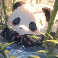 Hệ thống-145(Miae)