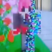 h1h4 glitch