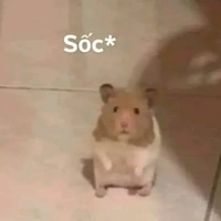 T/g (Lục Anh Thương)