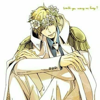 Donquixote Rosiunante(corazon)