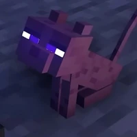 Avic(Mèo)