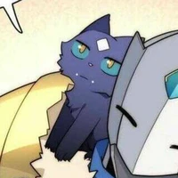 Mèo con