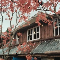✨Ní Tác Giả✨