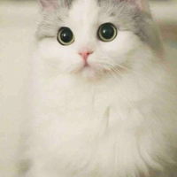 Trương dịch nhiên