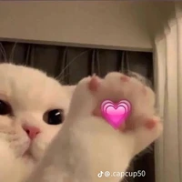 tác giả ngôn lù