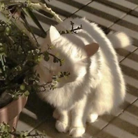tacgia><