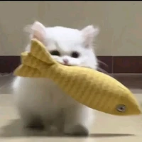 tác giả