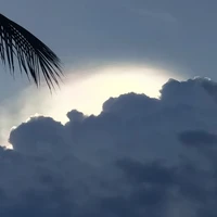 All nhân vật ẩn Nam Nữ