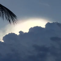 All nhân vật ẩn Nam Nữ