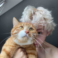 Felix 