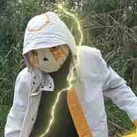 Error 707 sans
