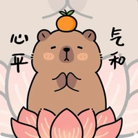hệ thống 141-Cam