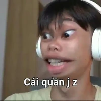 Tác giả nghiệm meme 🤡💅