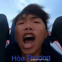 Phạm Đình Hoà