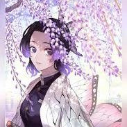 cocho shinobu