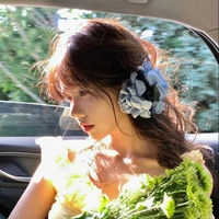Hạ Tú Dương