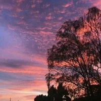 Anh trai cân mọi loại vai diễn