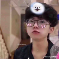 Quý chi gô