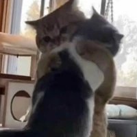 18 năm FA chưa mảnh tình nào