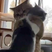 18 năm FA chưa mảnh tình nào