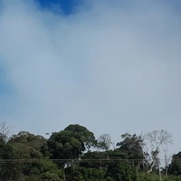 m.n