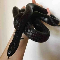 Nagini