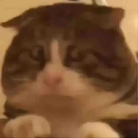 Tgia đếiii😏😏😏