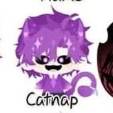 Hiha Catnap