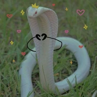 con này là cư dân của Atlantis