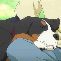 @Seiya_simpMinato