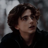 Regulus Black