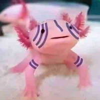 Con t/g bị thỉu năng