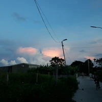 tác giả 